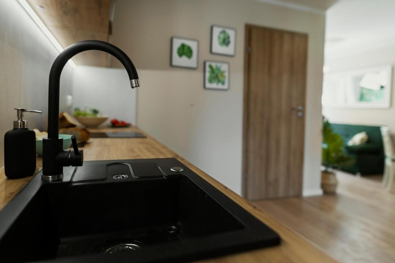 Apartamenty Willove Wzgórze Duszniki Zdrój Kültér fotó