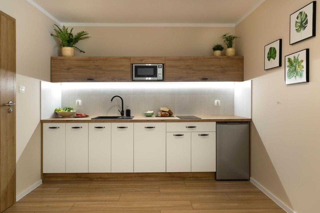 Apartamenty Willove Wzgórze Duszniki Zdrój Kültér fotó
