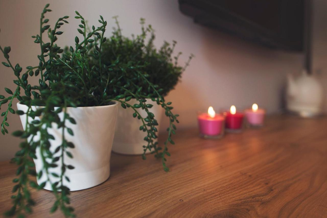 Apartamenty Willove Wzgórze Duszniki Zdrój Kültér fotó