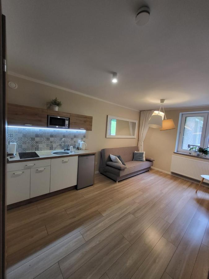Apartamenty Willove Wzgórze Duszniki Zdrój Kültér fotó
